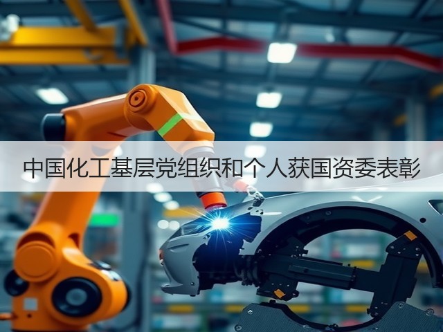 中国化工基层党组织和个人获国资委表彰 中国化工基层党组织和个人获国资委表彰