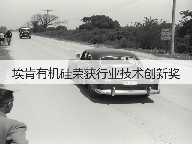 埃肯有机硅荣获行业技术创新奖
