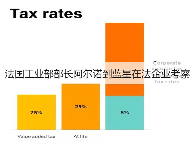 法国工业部部长阿尔诺到蓝星在法企业考察
