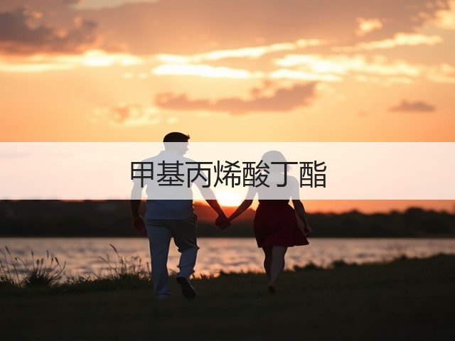 甲基丙烯酸丁酯