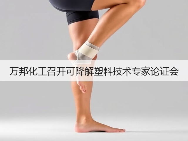 万邦化工召开可降解塑料技术专家论证会