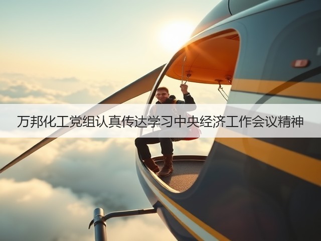 万邦化工党组认真传达学习中央经济工作会议精神
