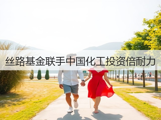 丝路基金联手中国化工投资倍耐力 丝路基金联手中国化工投资倍耐力