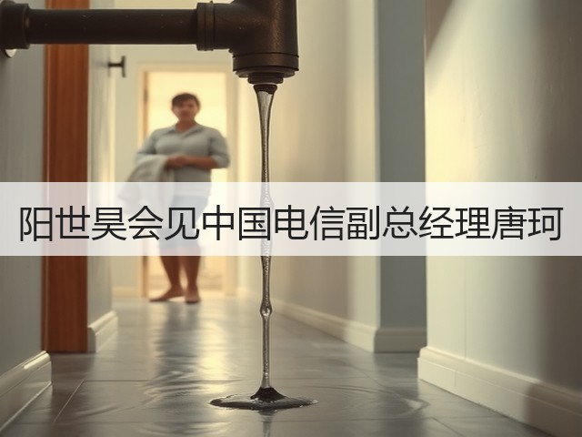 阳世昊会见中国电信副总经理唐珂