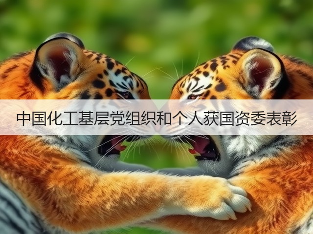 中国化工基层党组织和个人获国资委表彰 中国化工基层党组织和个人获国资委表彰