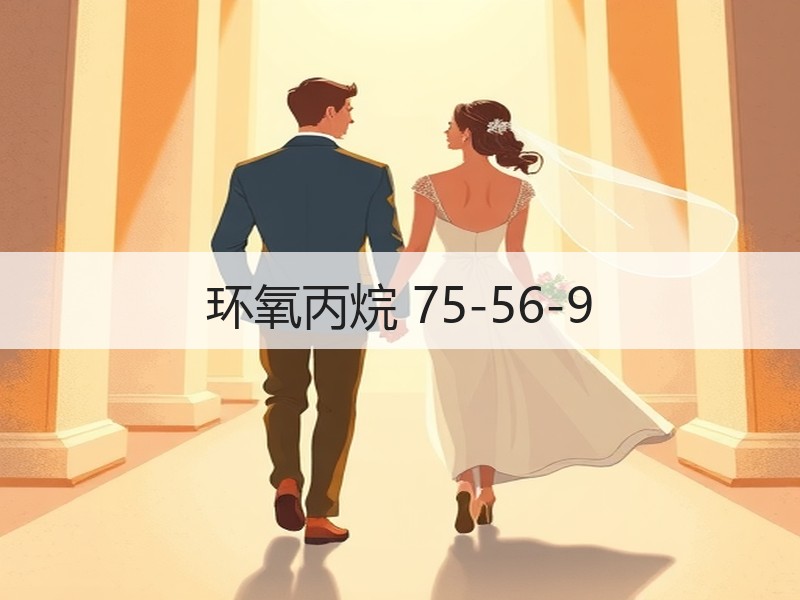 诺云丰尔赛中国化工有限公司