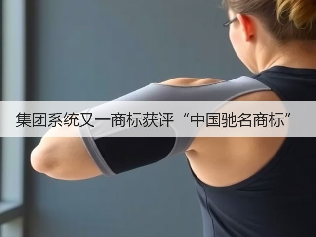 集团系统又一商标获评“中国驰名商标”